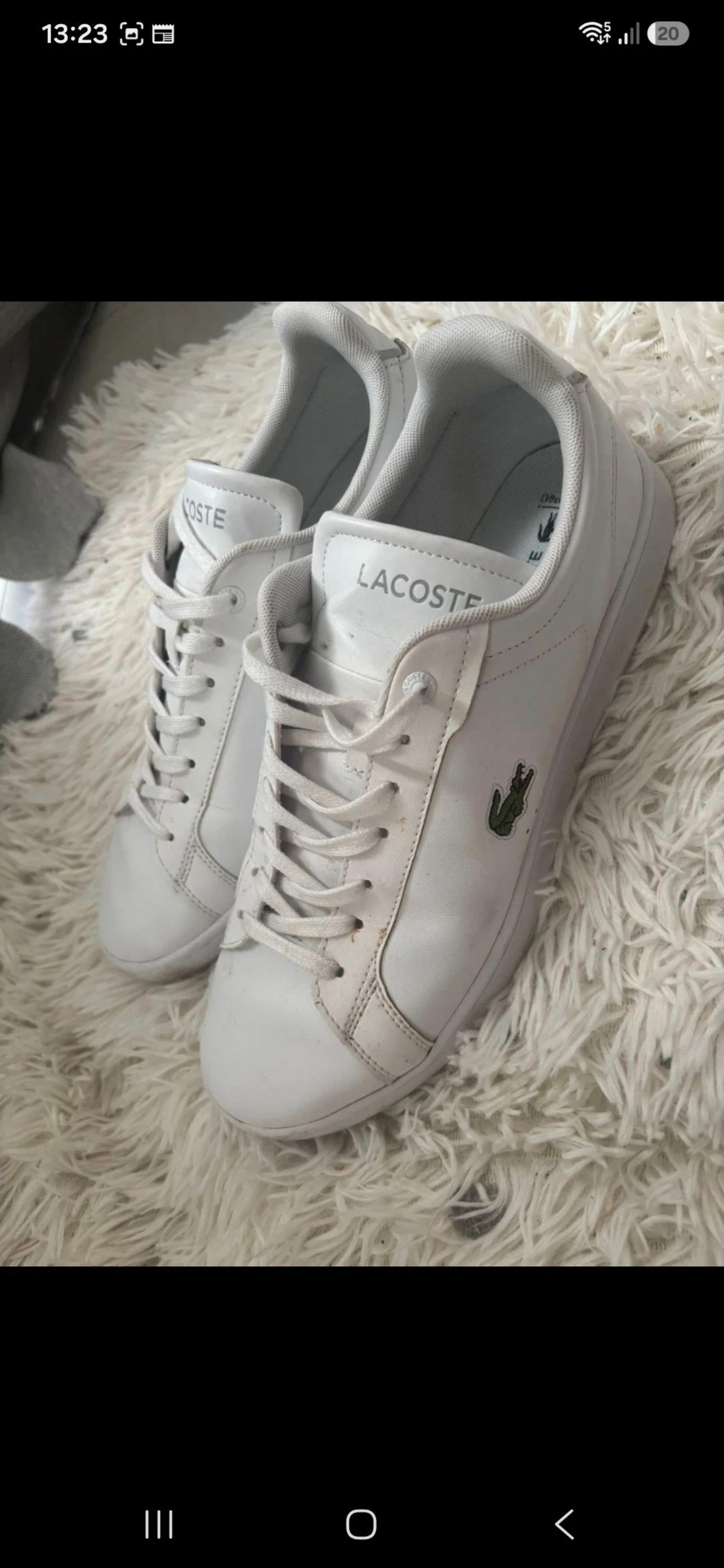 Schoen Lacoste maat 43 – photo 2